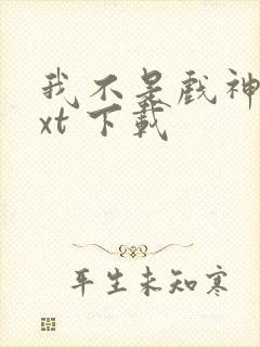 我不是戏神 txt 下载