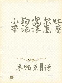 小狗偶尔吐黄水带泡沫怎么回事