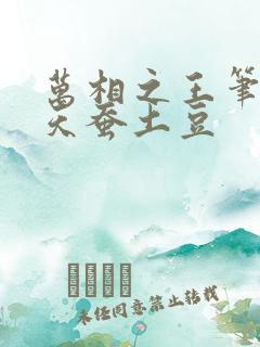 万相之王笔趣阁天蚕土豆