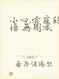 小心,偷窥的下场 无删减