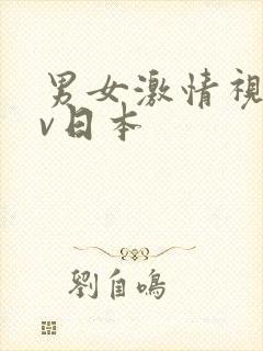 男女激情视频av日本