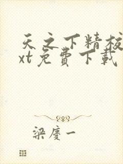 天之下精校版txt免费下载