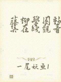 藤柳学园动漫全集在线观看免费