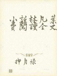 小说林凡叶惜免费阅读全文最新