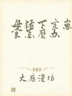 母猪下完崽不吃食怎么办