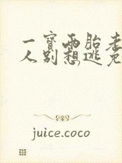 一宝两胎老婆大人别想逃免费阅读