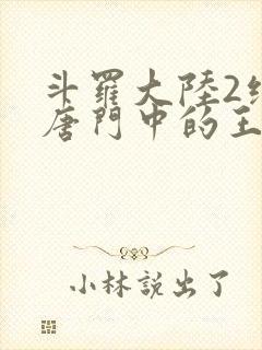 斗罗大陆2绝世唐门中的王冬