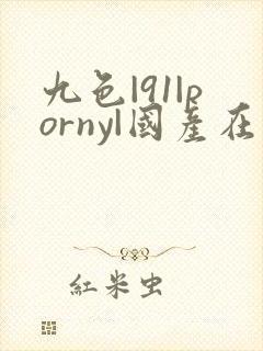 九色|91|porny|国产在线观看