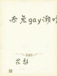 赤兔gay潮喷