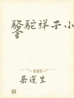 骆驼祥子小说老舍