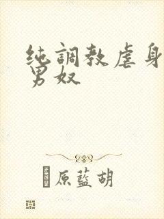 纯调教虐身惩罚男奴