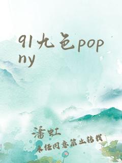 91九色popny