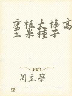 密植大棒高产的玉米种子