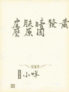 皮肤暗发黄是什么原因