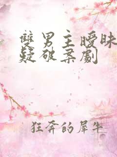 双男主暧昧向悬疑破案剧