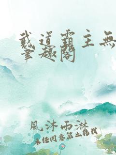 武道霸主无弹窗笔趣阁