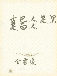 古巴人是黑人还是白人