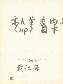 高h荤爽肉欲文〈np〉日本