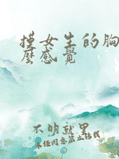 摸女生的胸是什么感觉