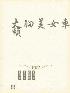 大胸美女车模视频