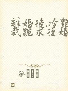离婚后,冷艳总裁跪求复婚完整版全文阅读