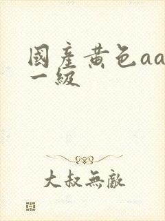 国产黄色aaa一级