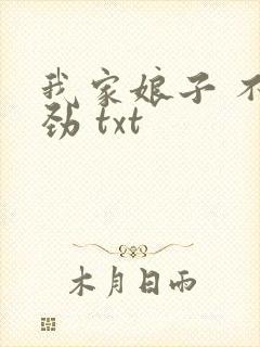 我家娘子 不对劲 txt