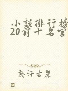 小说排行榜2020前十名官场