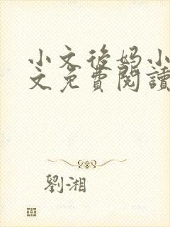 小文后妈小说全文免费阅读最新章节