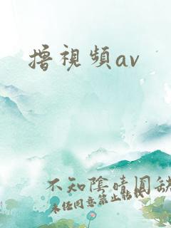 撸视频av