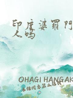 印度婆罗门是白人吗