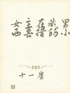 女主在藏男主扎西嘉措的小说