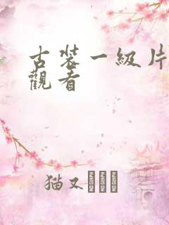 古装一级片免费观看