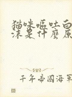 猫咪呕吐白色泡沫是什么原因