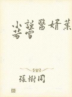 小说医婿叶凡唐若雪