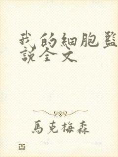 我的细胞监狱小说全文