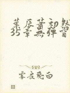 叶辰萧初然9935章无弹窗