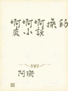 啊啊啊操的我好爽小说