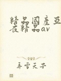 精品国产亚洲午夜精品av
