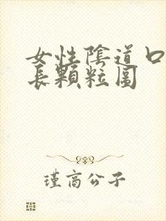 女性阴道口内侧长颗粒图