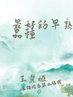 最好的早熟玉米品种