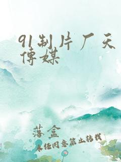 91制片厂天美传媒