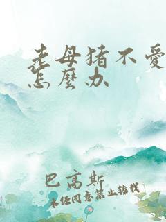 老母猪不爱吃食怎么办