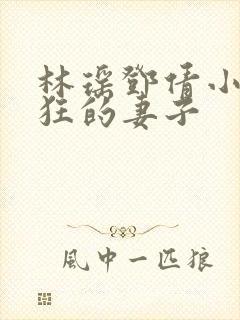 林瑶邓倩小说疯狂的妻子