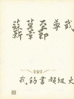 苏莫至尊武魂最新章节