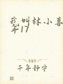 我叫林小喜 今年17