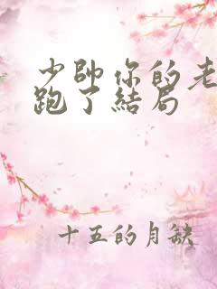 少帅你的老婆又跑了结局