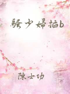 骚少妇插b
