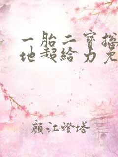 一胎二宝总裁爹地超给力免费阅读