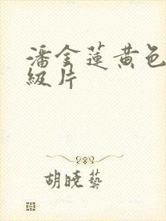 潘金莲黄色,一级片